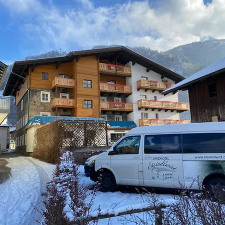 Steindlwirt Dorfgastein