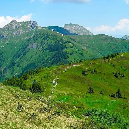Steindlwirt Dorfgastein