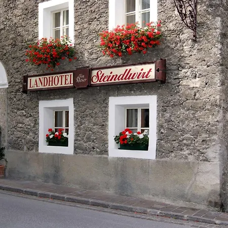 Steindlwirt Hotel Dorfgastein